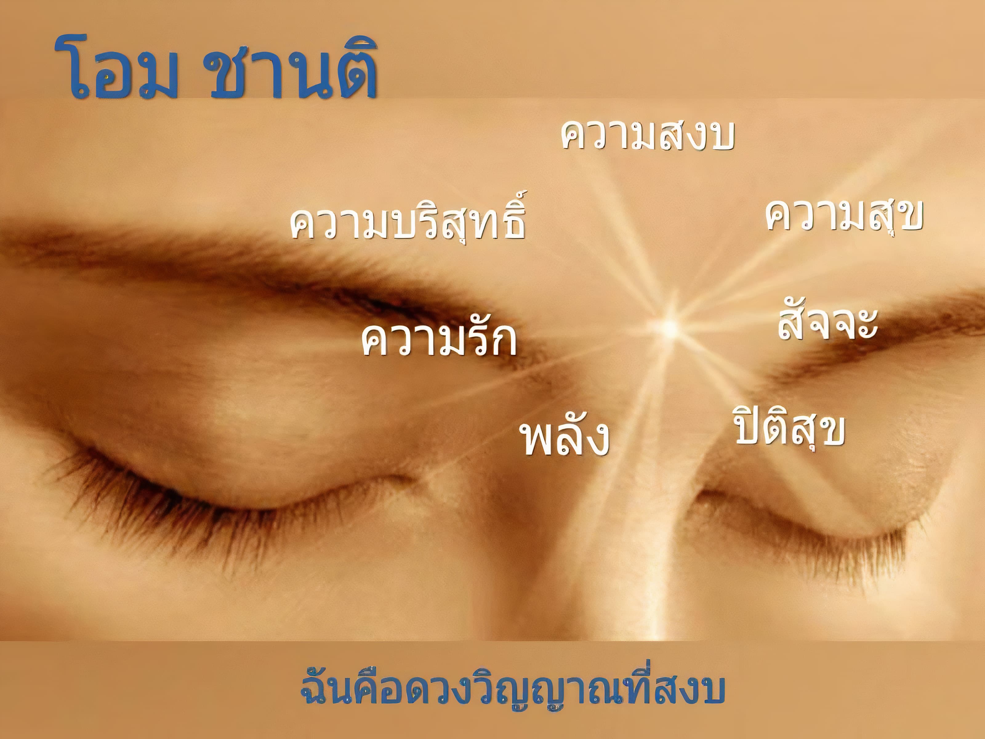 asdad