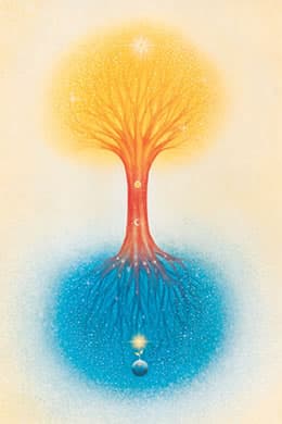 Tree glowing